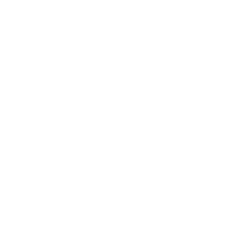 ADAPTIVE RESEARCH METHODOLOGY