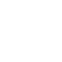 ADAPTIVE RESEARCH METHODOLOGY