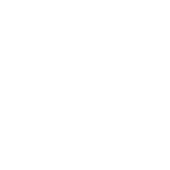 IGNITING THE BRAND LOVE