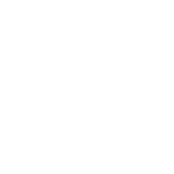 INCISIVE STAKEHOLDER AUDITING